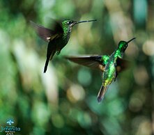 Hacienda Jimenita Wildlife Reserve