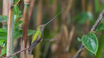 Hacienda Jimenita Wildlife Reserve