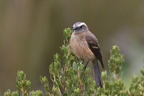 Hacienda Jimenita Wildlife Reserve