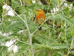 Hacienda Jimenita Wildlife Reserve