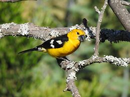 Hacienda Jimenita Wildlife Reserve