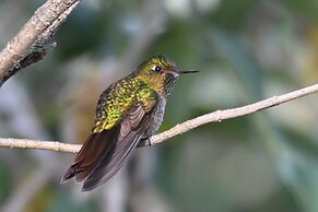 Hacienda Jimenita Wildlife Reserve