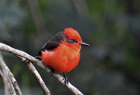 Hacienda Jimenita Wildlife Reserve