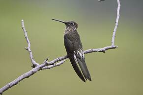 Hacienda Jimenita Wildlife Reserve