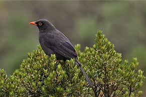 Hacienda Jimenita Wildlife Reserve