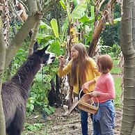 Hacienda Jimenita Wildlife Reserve