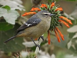 Hacienda Jimenita Wildlife Reserve