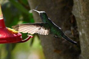 Hacienda Jimenita Wildlife Reserve