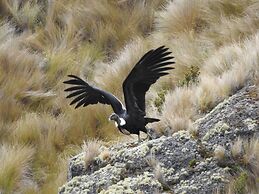 Hacienda Jimenita Wildlife Reserve