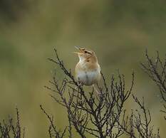 Hacienda Jimenita Wildlife Reserve