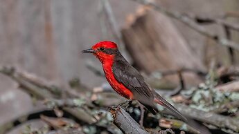 Hacienda Jimenita Wildlife Reserve