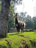 Hacienda Jimenita Wildlife Reserve