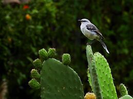 Hacienda Jimenita Wildlife Reserve