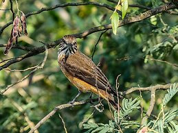 Hacienda Jimenita Wildlife Reserve