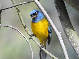 Hacienda Jimenita Wildlife Reserve