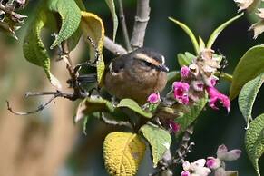 Hacienda Jimenita Wildlife Reserve