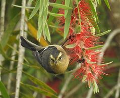Hacienda Jimenita Wildlife Reserve