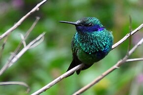 Hacienda Jimenita Wildlife Reserve