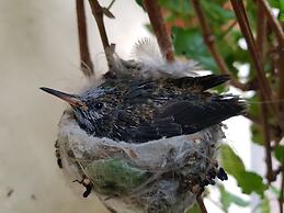 Hacienda Jimenita Wildlife Reserve