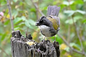 Hacienda Jimenita Wildlife Reserve