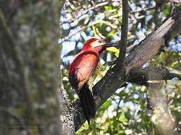 Hacienda Jimenita Wildlife Reserve