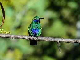 Hacienda Jimenita Wildlife Reserve