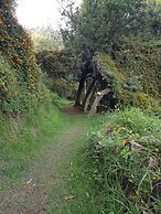 Hacienda Jimenita Wildlife Reserve