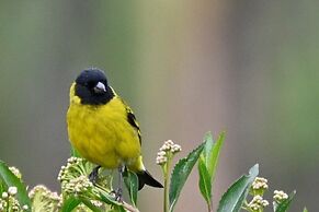 Hacienda Jimenita Wildlife Reserve