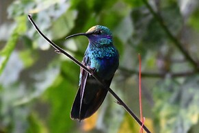 Hacienda Jimenita Wildlife Reserve