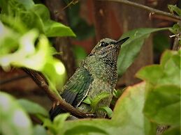 Hacienda Jimenita Wildlife Reserve