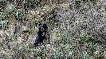 Hacienda Jimenita Wildlife Reserve