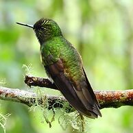 Hacienda Jimenita Wildlife Reserve