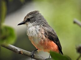 Hacienda Jimenita Wildlife Reserve