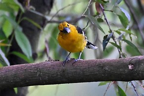 Hacienda Jimenita Wildlife Reserve