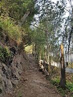 Hacienda Jimenita Wildlife Reserve