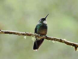 Hacienda Jimenita Wildlife Reserve