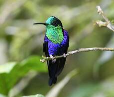 Hacienda Jimenita Wildlife Reserve