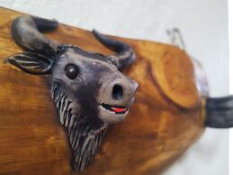 Hacienda Jimenita Wildlife Reserve