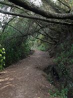 Hacienda Jimenita Wildlife Reserve