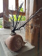 Hacienda Jimenita Wildlife Reserve