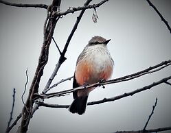 Hacienda Jimenita Wildlife Reserve