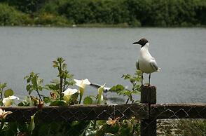 Hotel Boutique Casa Werner