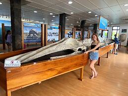 Galapagos Verde Azul