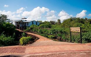 Galapagos Verde Azul