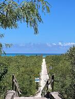 Galapagos Verde Azul