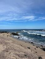 Galapagos Verde Azul