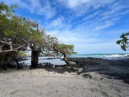Galapagos Verde Azul