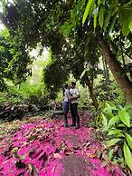 Galapagos Verde Azul