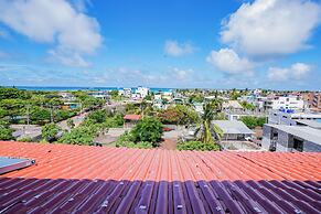 Galapagos Verde Azul
