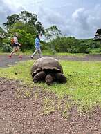 Galapagos Verde Azul